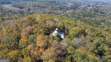 739 Barnes Mill Rd, Hamilton, GA 31811 - photo 3