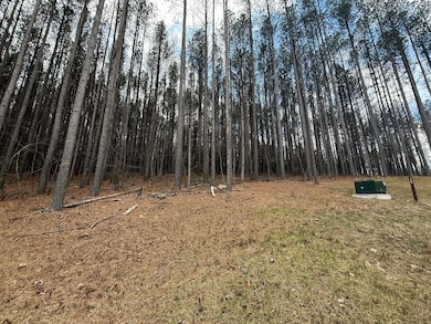 0 Birds Eye Way unit 1519145, Guild, TN 37340 - photo 3