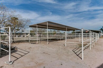HORSE AREA