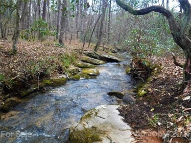 4221 Maple Creek Rd, Rutherfordton, NC 28139 - photo 6