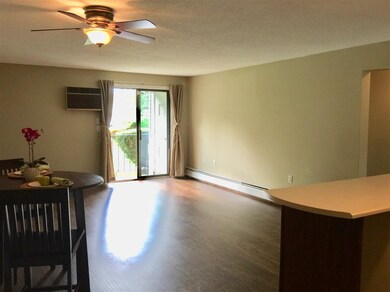 3 New Haven Dr unit UG108, Nashua, NH 03063 - photo 5