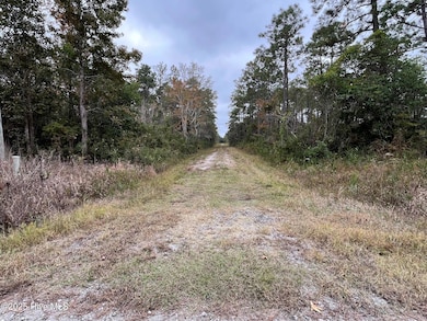 349 Magnolia, Southport, NC 28461 - photo 2