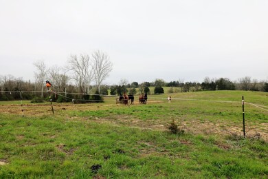 140 Parsons Ln, Harrodsburg, KY 40330 - photo 5