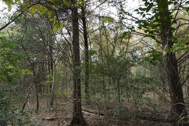 01 Cr 1316, Malakoff, TX 75148 - photo 6