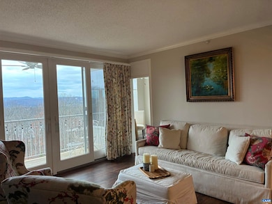 500 Crestwood Dr unit 2403, Charlottesville, VA 22903 - photo 5