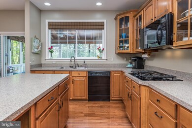 117 Sesar Ct, Winchester, VA 22602 - photo 5