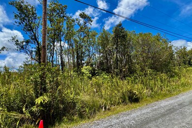 View into Lot 56 from north boundary; pole 53 on left.