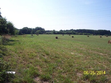 0 Wilkinsville Hwy, Gaffney, SC 29340 - photo 3