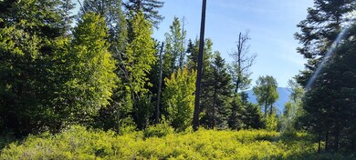 Lot 14 Tranquil Place, Bigfork, MT 59911 - photo 7