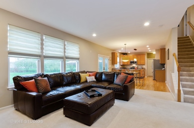 1 Tregonwell Ct, Algonquin, IL 60102 - photo 7