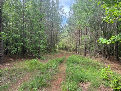View of local wilderness