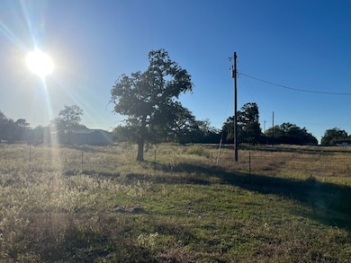 1311-A Alleyton Rd, Columbus, TX 78934 - photo 5