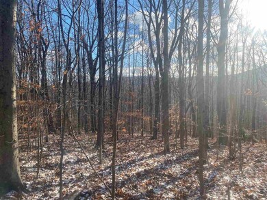 9 Vt Route W, Wilmington, VT 05363 - photo 6