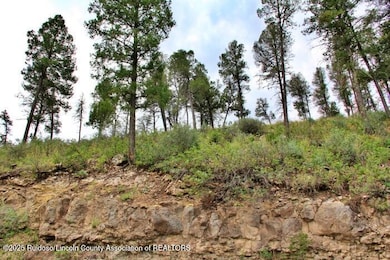131 Worcester Dr, Ruidoso, NM 88345 - photo 2