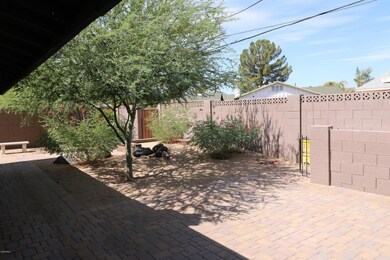 6 back yard south