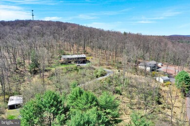393 Coal Mountain Rd, Orwigsburg, PA 17961 - photo 5