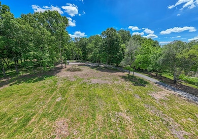 3017 Fairview Blvd, Fair View, TN 37062 - photo 6