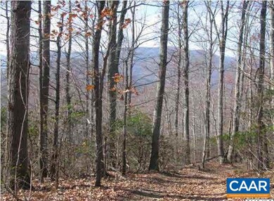 1 Brokenback Mountain Rd, Free Union, VA 22940 - photo 4