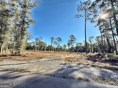 285 Lower Simmons Rd, Macon, GA 31220 - photo 2