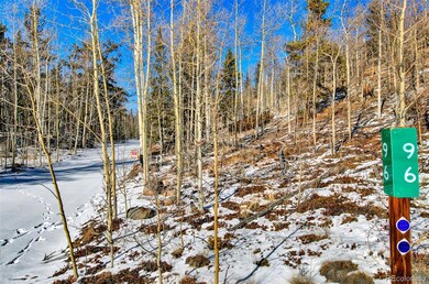 96 Dead Toad Rd, Fairplay, CO 80440 - photo 4