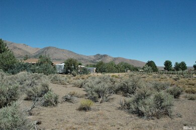 3940 Carter Way, Wellington, NV 89444 - photo 7