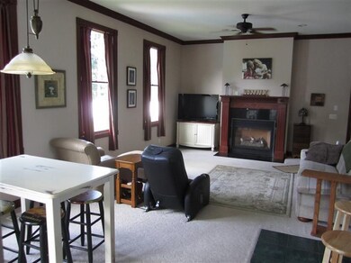 508 W Telegraph St, Dowagiac, MI 49047 - photo 3