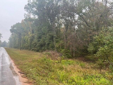 Jarrell Loop, Evans, LA 70639