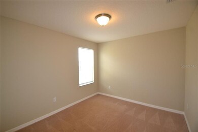 16014 Persimmon Grove Dr, Lithia, FL 33547 - photo 5