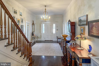 240 Library Place, Princeton, NJ 08540 - photo 7