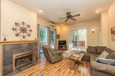 Fireplace in Living Room
