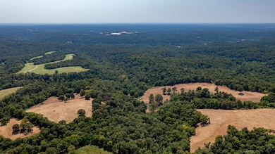 000 Neon Sky Dr, Pineville, MO 64856 - photo 4
