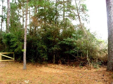 26652 Joseph, Hockley, TX 77447 - photo 3