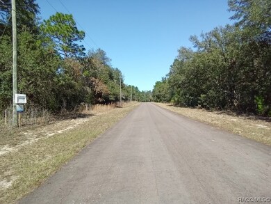 8833 N Spartan Dr, Citrus Springs, FL 34433 - photo 2