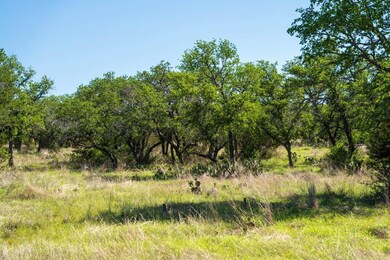 62 Balcones Dr, Johnson City, TX 78636 - photo 3