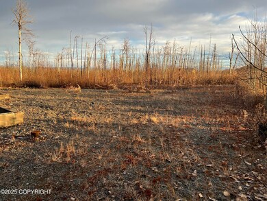 15408 Wild Bill Way, Susitna North, AK 99688 - photo 7