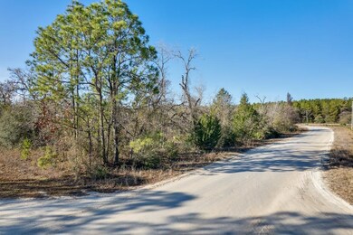 Vacant (1.04) Breeze Dr 2nd, Perry, FL 32348 - photo 2