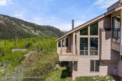 604 Mountain Laurel Dr Aspen-large-003-0
