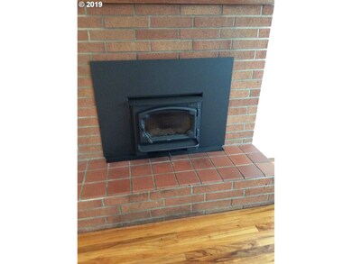 Fireplace Insert
