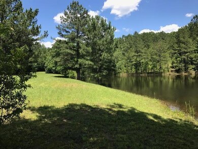 147 Pond Ln, Tennessee Ridge, TN 37178 - photo 3