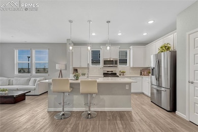 10793 White Diamond Point, Colorado Springs, CO 80908 - photo 3