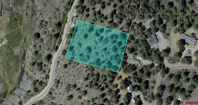 719 E Stollsteimer Rd, Pagosa Springs, CO 81147 - photo 7