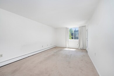 321 Harvard St unit 208, Cambridge, MA 02139 - photo 4