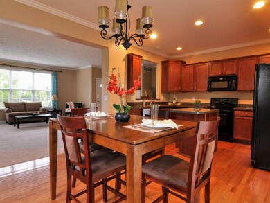 Living/Dining/Kitchen View