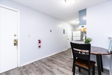 381 Hildreth St unit 106, Lowell, MA 01850 - photo 6