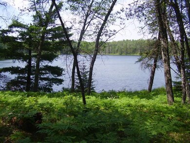 Cranberry Lake Elevated View # 1
