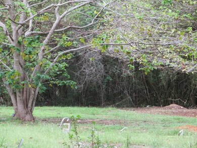 28211 Hickory Hill Dr, Hockley, TX 77447 - photo 4