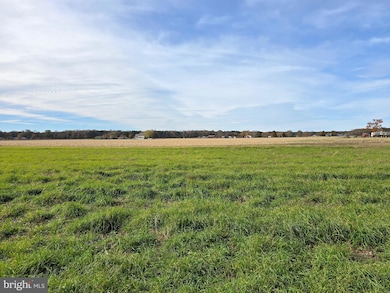 0 Richardson Rd, 14, Willards, MD 21874 - photo 6