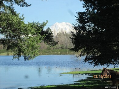 15005 129th Ln SE, Yelm, WA 98597 - photo 2