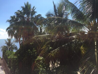 View from Terrace
