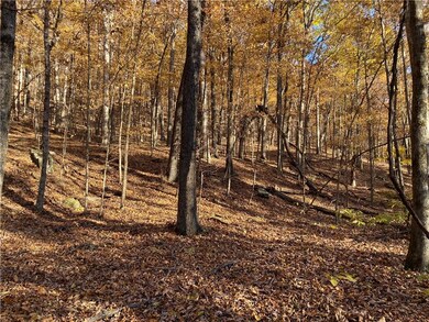 0 Madison 4095 unit 1204133, Crosses, AR 72727 - photo 3